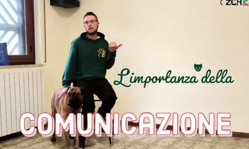 immagine corso