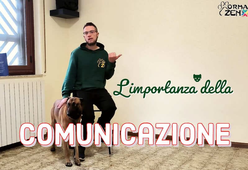 01. L’IMPORTANZA DELLA COMUNICAZIONE (11 lezioni)