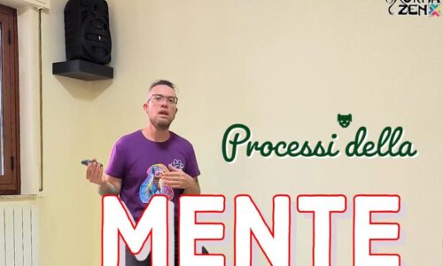 immagine corso