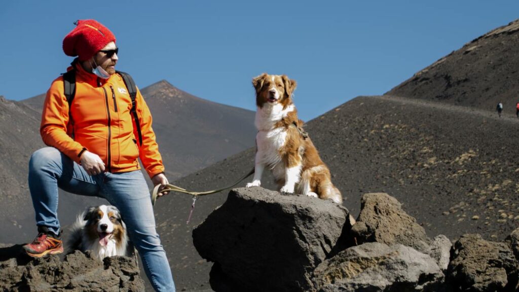 ragazzo in montagna con due cani australiani