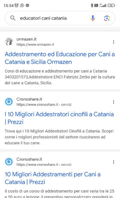 ricerca google